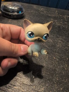LPS Littlest Pet Shop #5 Siam Kurzhaarkatze schwarz weiß blaue Augen authentisch - Bild 1 von 4