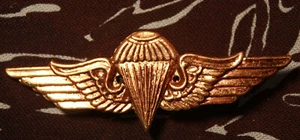 Egypt 4 class basic metal Parachutist Jump Badge B&T 343 Airborne wings insignia - Picture 1 of 5