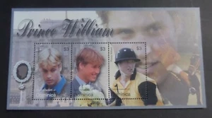 Dominica 2003 21st Birthday Prince William MS MS3323 MNH UM unmounted mint - Imagen 1 de 1