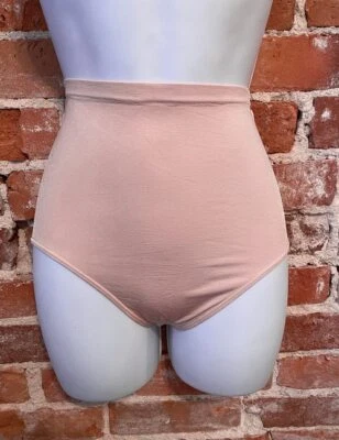 Bragas Rhonda Shear Blush Rosa Sin Costuras Cintura Alta Ahh Brief Panty Nuevo Control Foto 1 de 4