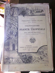 Bruttini - Coltivazione delle piante tropicali - Imagen 1 de 1