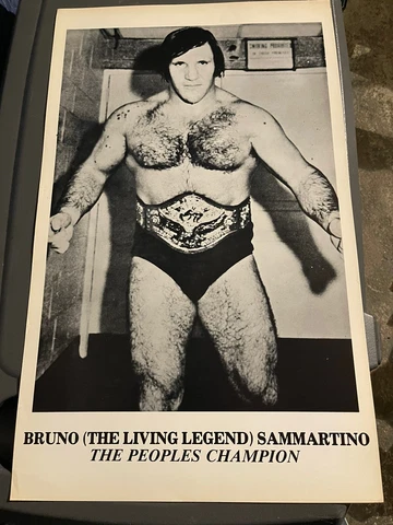 vintage wrestling bruno sammartino original poster 1970’s Cover