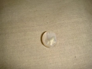MANOPOLA SINTONIZZATORE MADREPERLA SOLIDA MANDOLINO PER SINTONIZZATORI GOTOH - NUOVA! - Foto 1 di 5