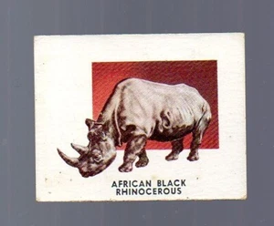 Animals of the World Card # 196 - TOPPS (1951) - African Rhino - Picture 1 of 2