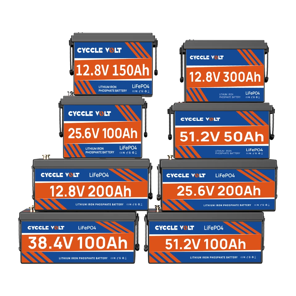 CYCCLEVOLT 12V 24V 36V 48V 100Ah 150Ah 200AH 300Ah LiFePO4 Lithium Batterie BMS Solar RV