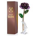 Sinvitron Gold Dipped Rose, Long Stem 24k Gold Dipped Real Rose Lasted Forever w