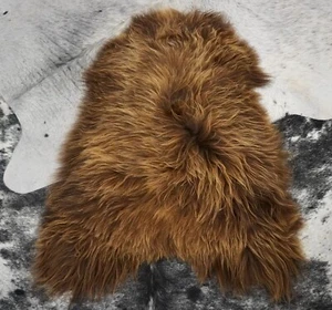 Warm Sun Touched Browns - A Natural Long Wool Icelandic Sheepskin Rug - - Picture 1 of 7
