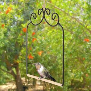 Supplies Hummingbird Standing Swing Hanging Swings Toy Bird Swing Parrot Toys