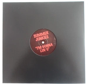 SUMMER JUNKIES - I'M GONNA LUV U 12" VINYL 1998 ROWT98001 *G+* - Picture 1 of 4