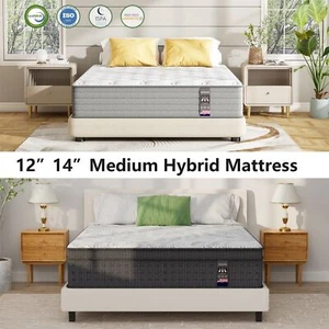 12" 14" Twin Full Queen King Size Mattress Hybrid Foam Pocket Coils Bed in a Box - Picture 1 of 42