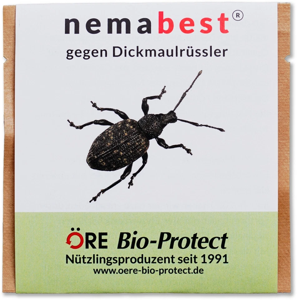 nemabest® HB Nematoden zur Bekämpfung des Dickmaulrüsslers