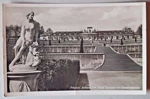 AK Potsdam - Aufgang zum Schloss Sanssouci mit Gewächshäusern- nicht gelaufen - Bild 1 von 1