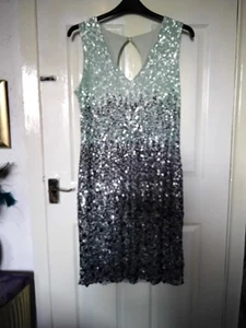 ROMAN GREEN SHADES LINED CLASSY STRAIGHT OCCASION SEQUIN DRESS SIZE 20 - Picture 1 of 7