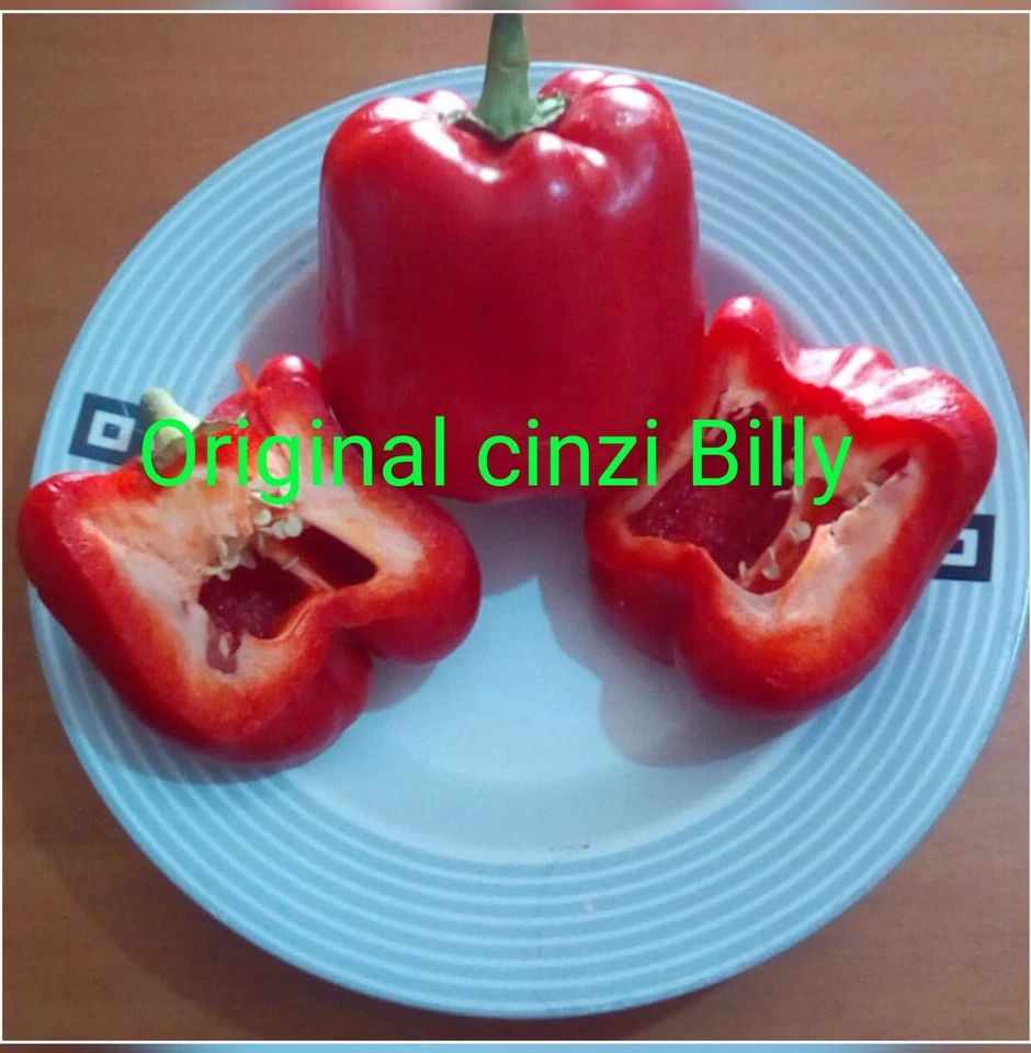 120 semi peperone  rosso ( peperoni ) semi.italiani - Immagine 1 di 1