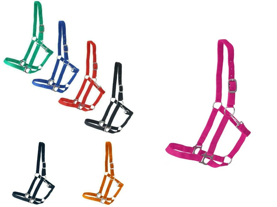 Halfter Nylonhalfter  rot blau grün schwarz Mini Shetty Shetty Pony VB WB Meadow - Bild 1 von 1