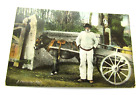 Une paire familière - carte postale scène âne et charrette ancienne campagne