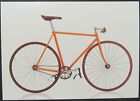 Bicycle Circa 1978 Messenger Bike Picture Print Postcard Unused