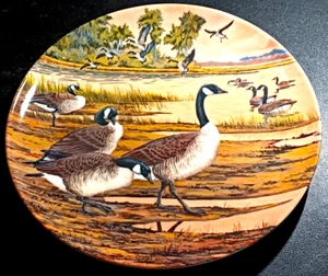 Plato de pájaro ganso canadiense edición limitada Dominion Bradex de colección hogar de invierno - Imagen 1 de 8