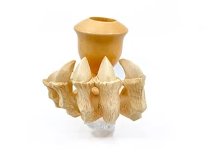 S. Yanik Meerschaum Pipe –Hand-Carved Lion Claw Design – Collector's Edition - Picture 1 of 9