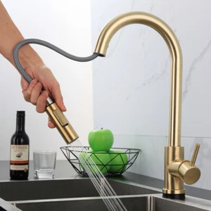 Stainless Steel Kitchen Pull-out Retractable Faucet - Picture 1 of 10