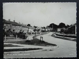 Northamptonshire DAVENTRY Dryden Avenue c1960s RP Postcard by Frith - Picture 1 of 2
