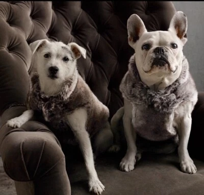 Restoration Hardware Dog Sweater/Vest Medium Sweater Faux Fur NWT Reversible - Image 1 of 4