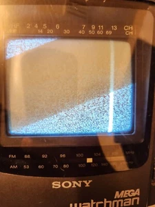 TV vintage Sony Mega Watchman FD-525 4,5" bianco e nero con sintonizzatore radio AM/FM - Foto 1 di 9