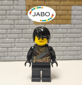 ( S10 /2/ 1 ) Lego Ninjago njo0090 Cole (Techno Robe) 70723 70720