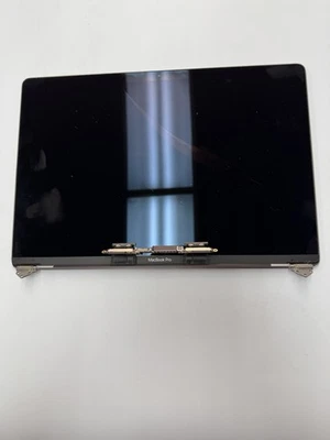 OEM Macbook Pro 15" A1990 2018 2019 LCD Display Assembly SILVER -bad LCD - Image 1 of 2