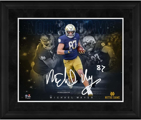 Michael Mayer Notre Dame Fighting Irish Framed 16" x 20" Stars of Cover