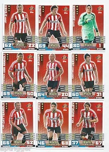 2014 / 2015 EPL Match Attax SUNDERLAND Team Set (272-288) 17 Cards - Picture 1 of 2