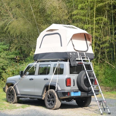 Tienda de techo Softshell con escalera 2-3 personas para camión tienda inflable impermeable Foto 1 de 4