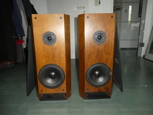 T&A  Criterion TMR 70 Boxen Transmission Line - Bild 1 von 12