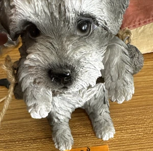 Miniature Schnauzer Puppy Hanging Garden Statue, 5-in - Picture 1 of 9