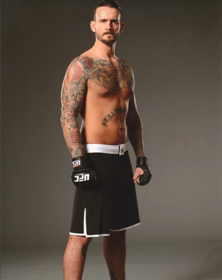 Foto CM Punk UFC 11x14 MMA Promo Picture Phil Brooks WWE Champion Wrestlemania Foto 1 de 1