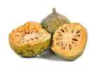 Bael Fruit Bengal Quince Maja fruit Seeds (Aegle marmelos) 35+ Seeds