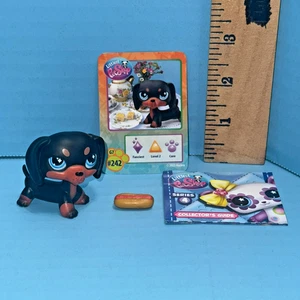 Littlest Pet Shop bassotto nero marrone cucciolo cane occhi blu G7 serie 4 #242 LPS - Foto 1 di 6
