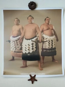 Hakuho Harumafuji Kakuryu Poster Sumo Wrestler Schnittkalender 17,5" Japan  - Bild 1 von 3