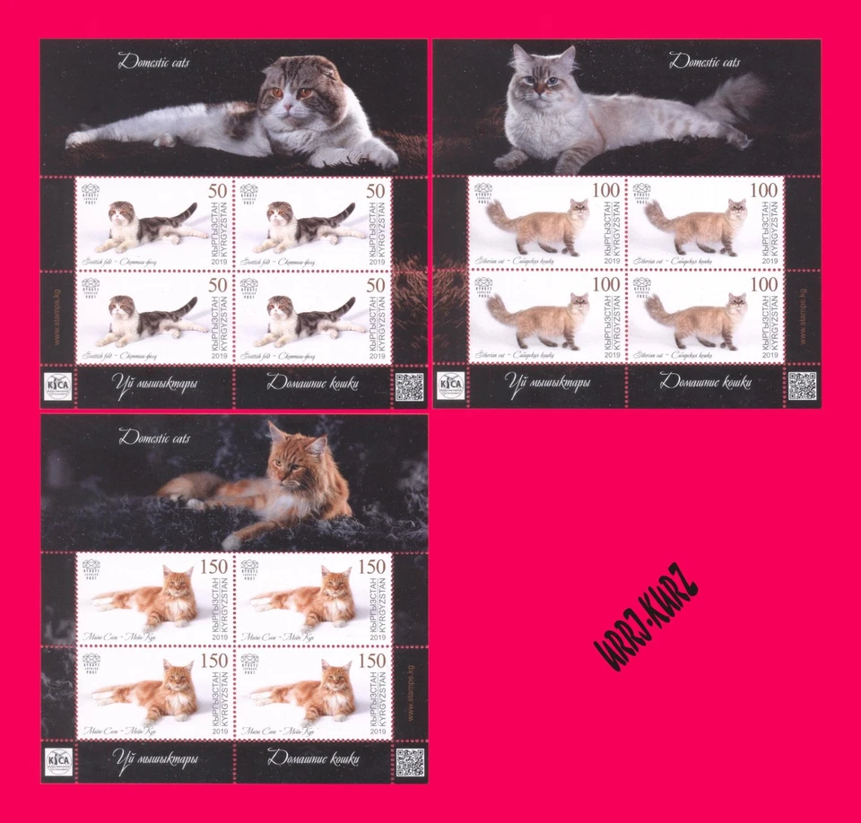 KYRGYZSTAN 2019 Nature Fauna Domestic Animals Pets Cats 3 m-s Mi KEP125-127 MNH - Image 1 of 1