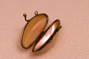 Vintage Mother of Pearl Miniature Pill Box Pendant Oval Hinged Locket Style 1.75 - Picture 1 of 9
