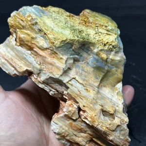 2lb 3oz Gary Green Jasper, Larsonite, Caldera Lapidary Rough For Cabbing. #12 - Picture 1 of 9