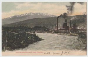 1901-1907 Androscoggin River & White Mountains New Hampshire NH Antique Postcard - Picture 1 of 2