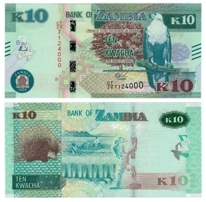 Zambia 10 Kwacha (2020) - Porcupín/Agricultura/p58c, B167b UNC - Imagen 1 de 3
