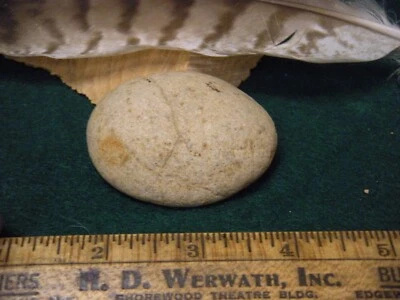 CONO HEMISFERIO SEMIPULIDO - PIEDRA CALIZA CO. ALABAMA - COLECCIÓN JAMES FLEMING Foto 1 de 4