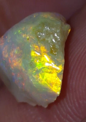 Australian Opal Tops Gem Rough Stone. Premium Gem Opal for lapidary/investment - Image 1 of 4