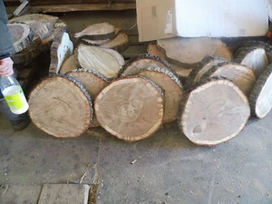 5 Baumscheiben, Holzscheibe, 23-25 x 2 cm, Eiche, teilweise ohne Rinde - Bild 1 von 2