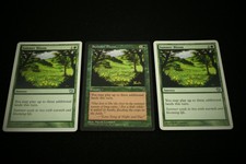 Summer Bloom x 3 - Ninth Edition & Visions - Near Mint - MTG Magic the Gathering