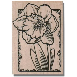 Sello de goma de madera, narciso en marco, flor, primavera, jardín, naturaleza, hojas, bombilla - Imagen 1 de 2