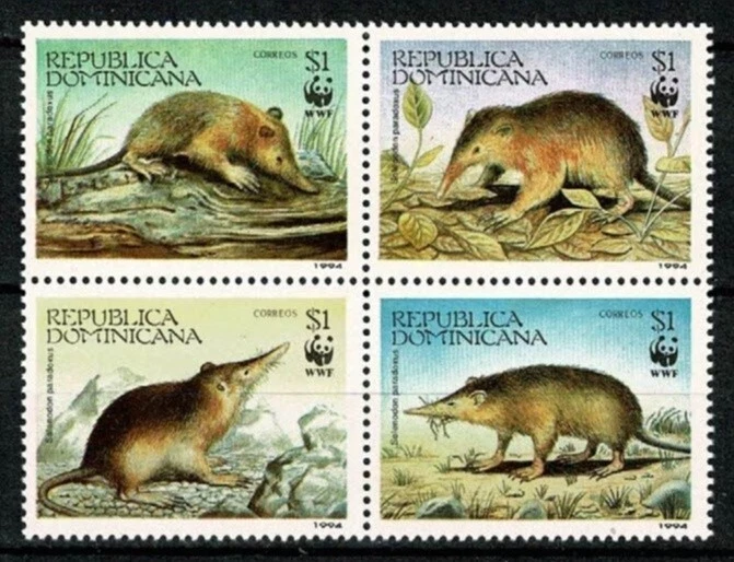 U7810 REPÚBLICA DOMINICANA 1994 gorgojo hendidura haitiano - WWF MNH Foto 1 de 1