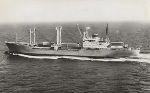 Postcard Freighter KHL Amsterdam "Flevoland" RPPC 1973 (Demolished 1992) NrMINT - Picture 1 of 2